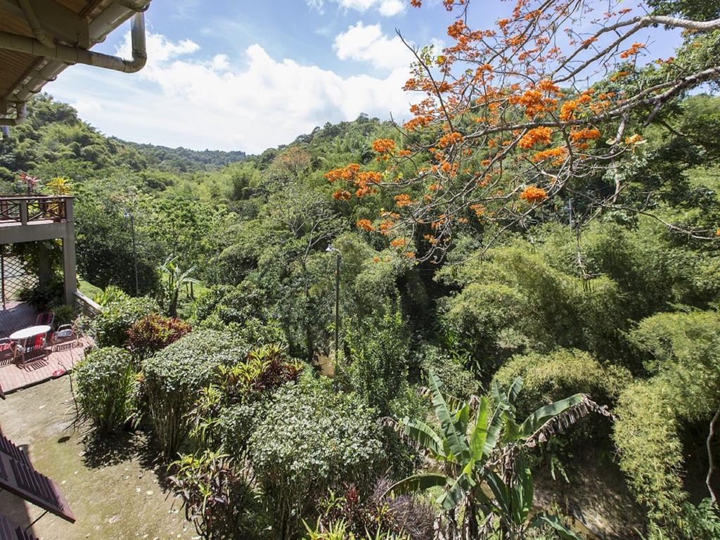 Villa Cuffie River Nature Retreat Port of Spain Exterior foto